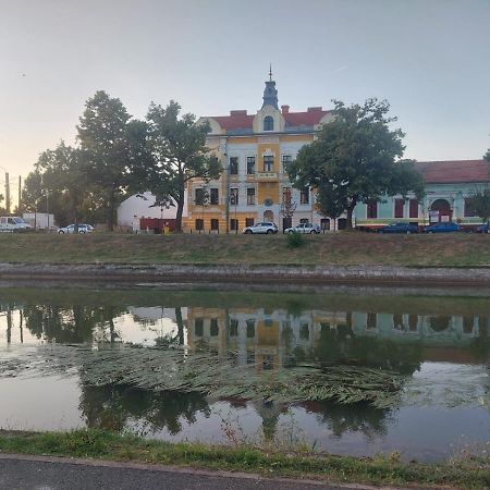 Apartament Pe Malul Raului Bega Timişoara Exteriör bild