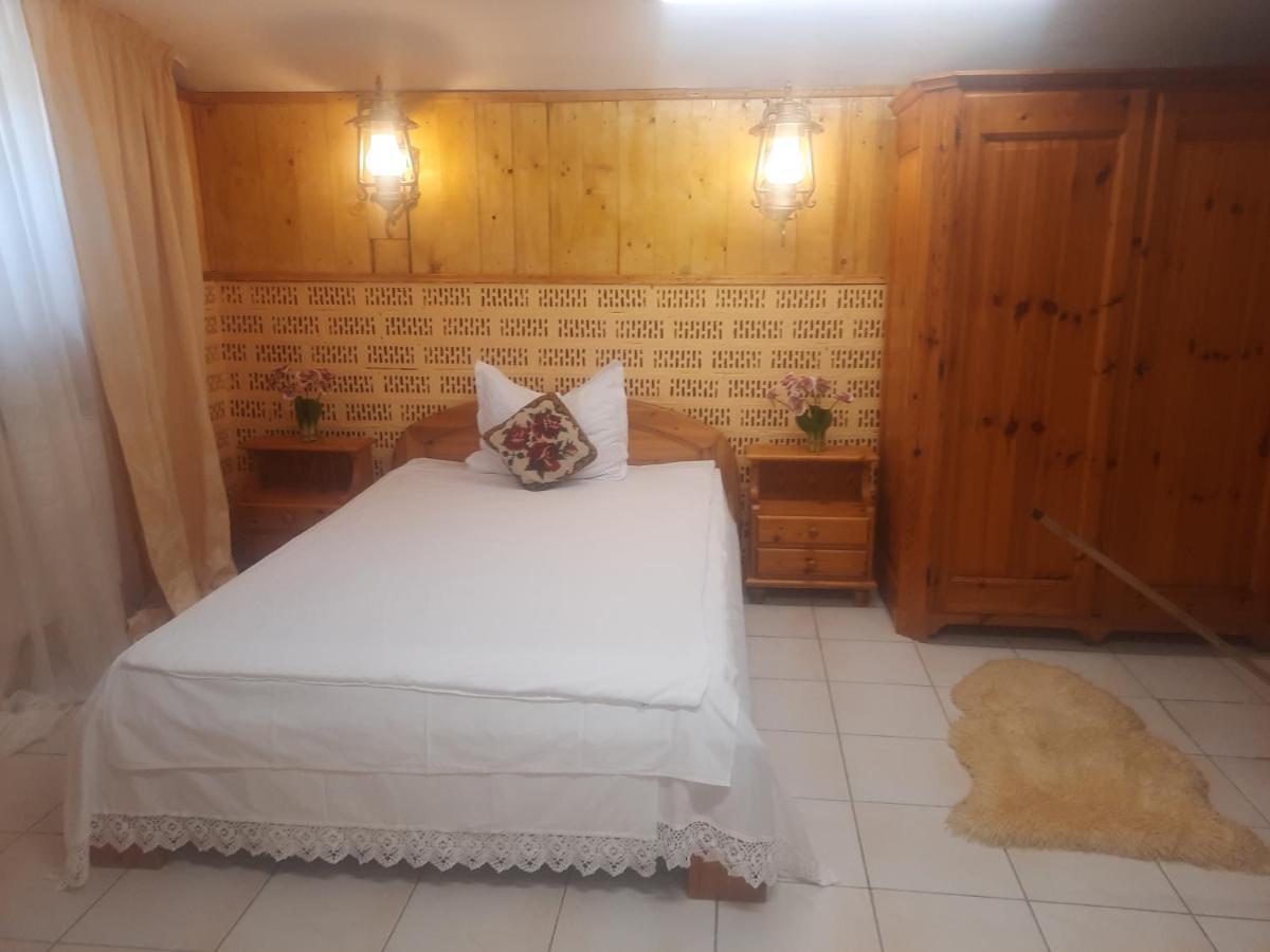 Apartament Pe Malul Raului Bega Timişoara Exteriör bild