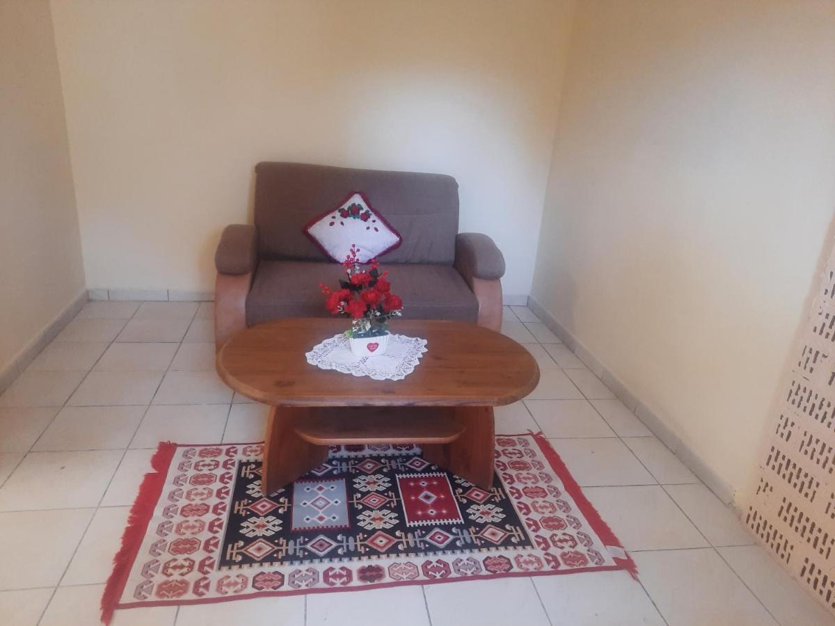Apartament Pe Malul Raului Bega Timişoara Exteriör bild